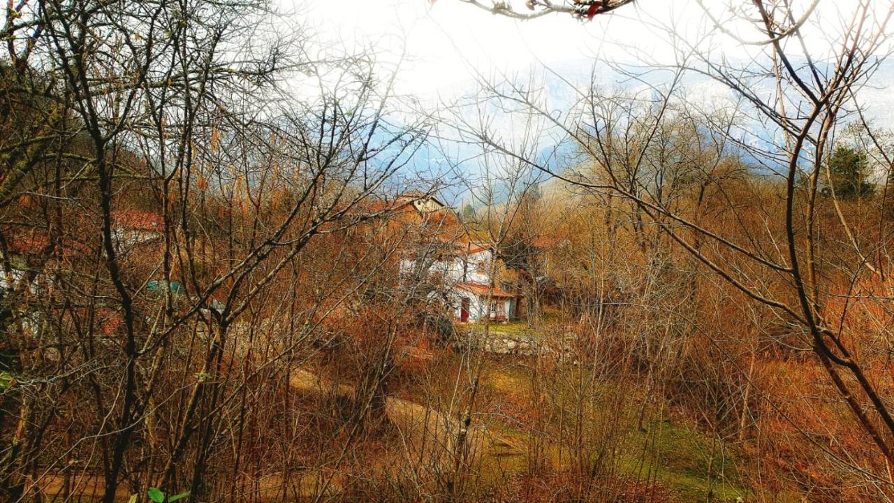 Hotel Rural La Tahona De Besnes Arenas De Cabrales Zewnętrze zdjęcie
