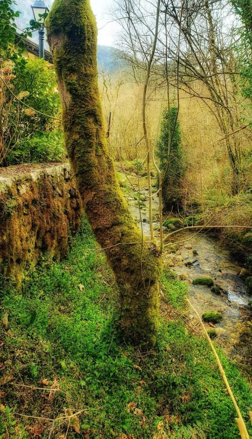 Hotel Rural La Tahona De Besnes Arenas De Cabrales Zewnętrze zdjęcie